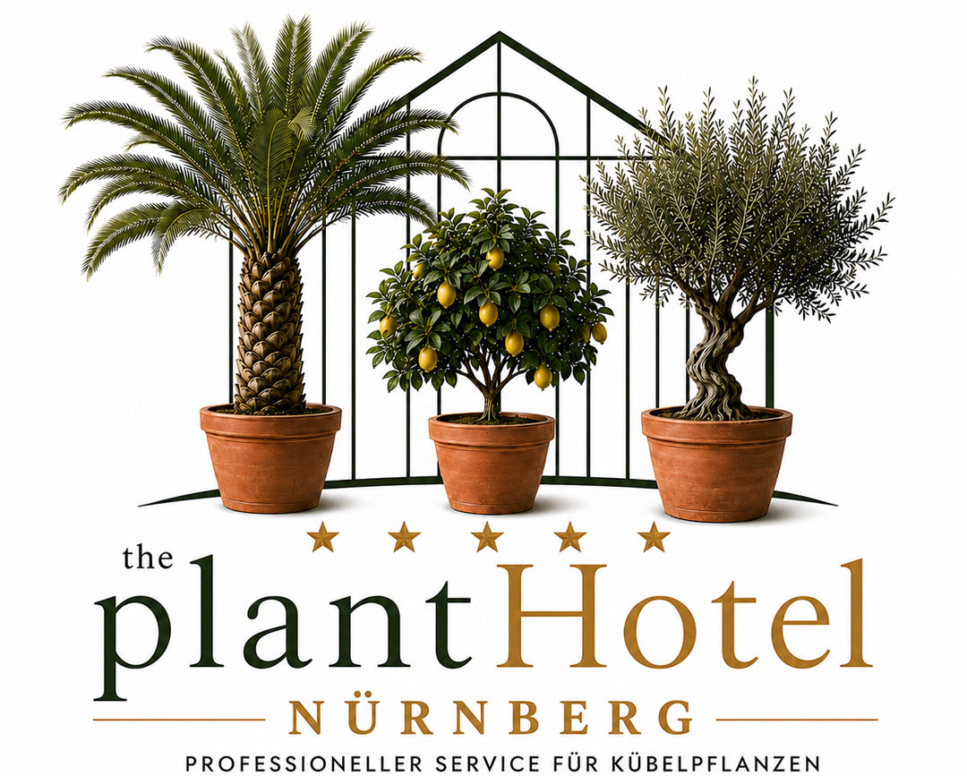 The plantHotel Nürnberg The plantHotel Nürnberg. Professioneller Service für Kübelpflanzen.